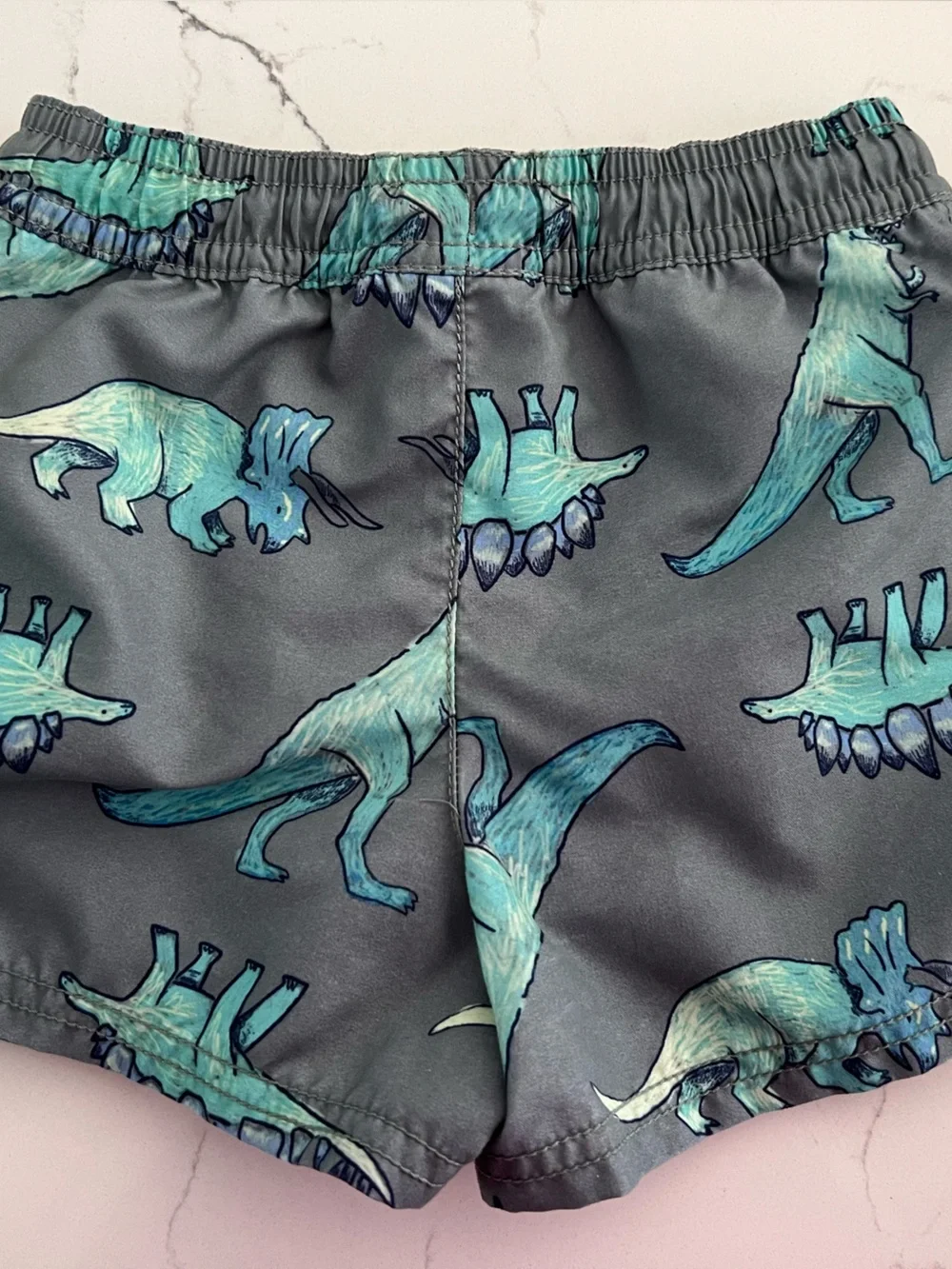 Carter’s Dinosaur Swim Trunk